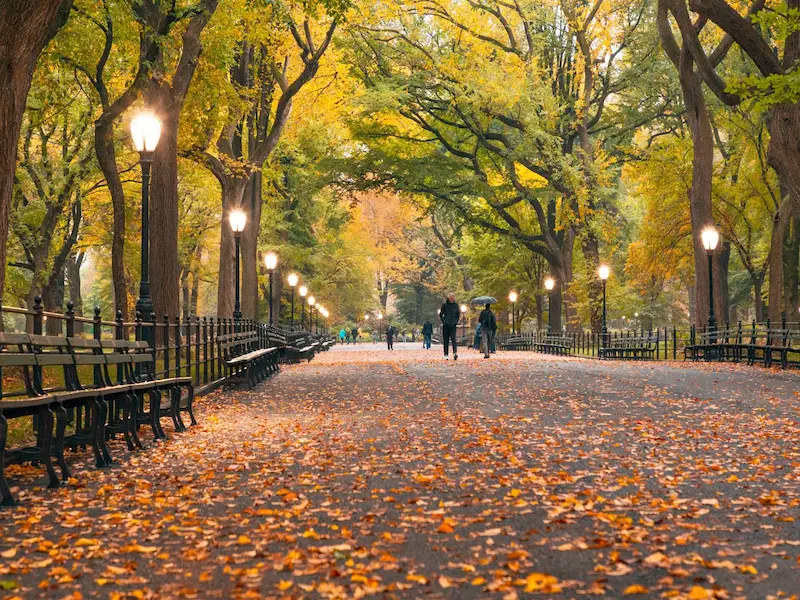 scenic autumn view of Central Park in New York City